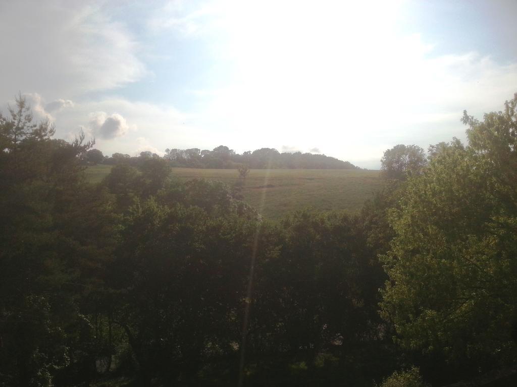 Gite 2 Du Chateau De Feschaux Villeneuve-sous-Pymont Zewnętrze zdjęcie